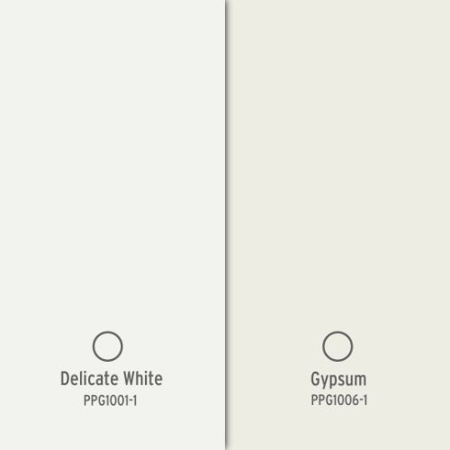 soft white paint color trend