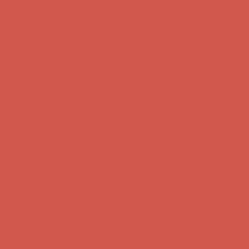 Wet Coral PPG1189-6
